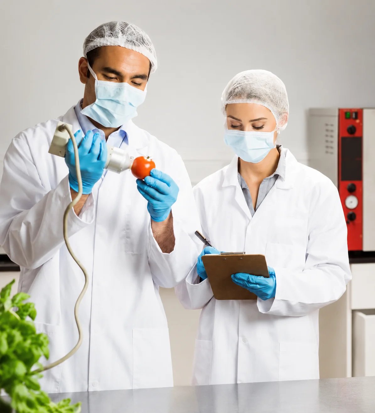 Food Safety